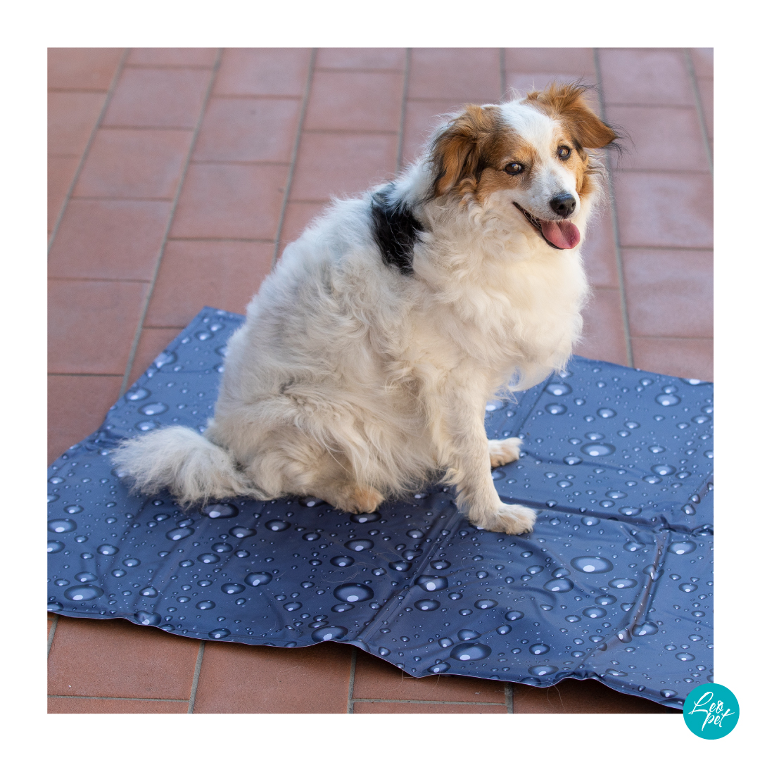 leopet dog cool mat