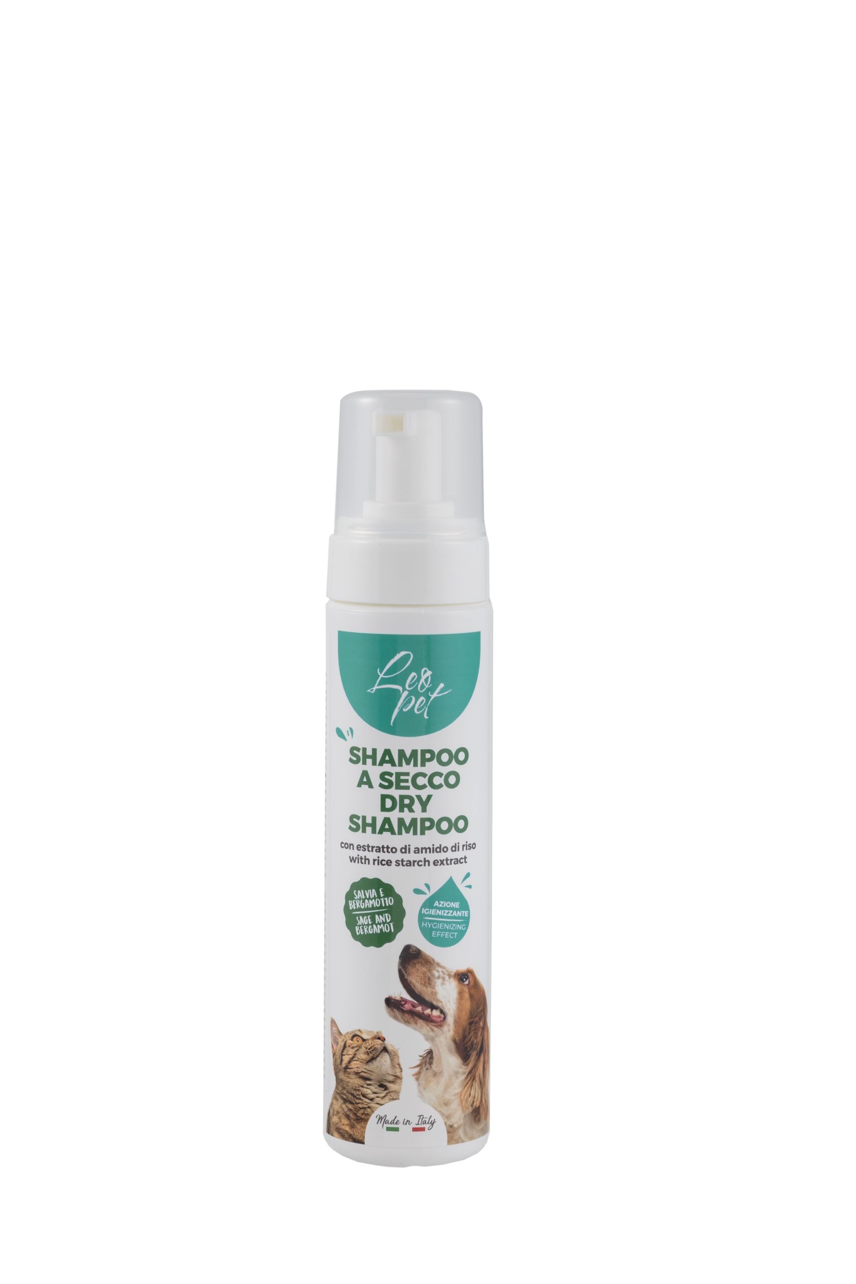 afros-skylou-gatas-leopet-IC767714