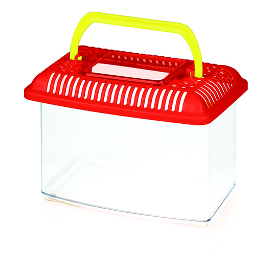 aquarium-leopet-55150070