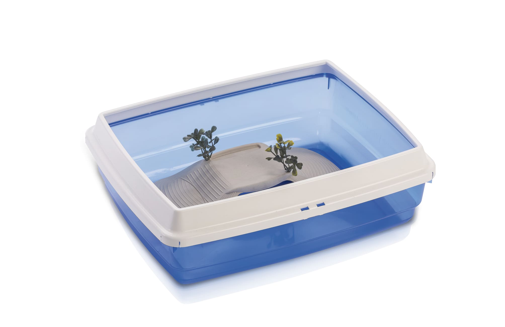 aquarium-leopet-55510070