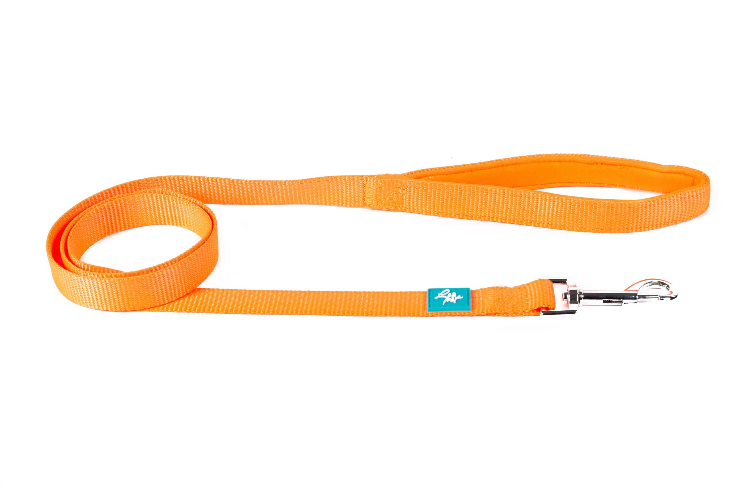 odigos-skylou-leopet-CGM14082