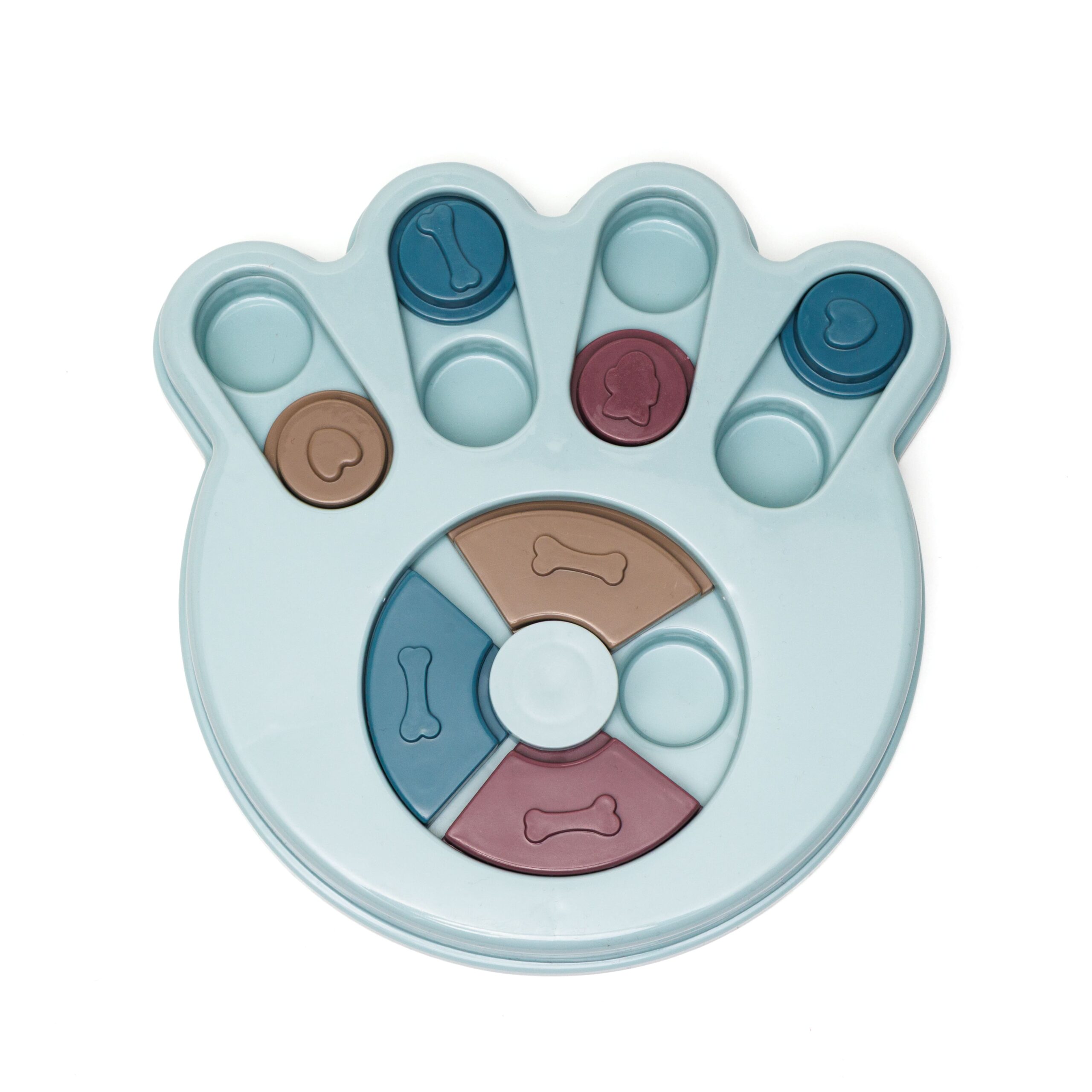 paixnidi-skylou-leopet-GH628417