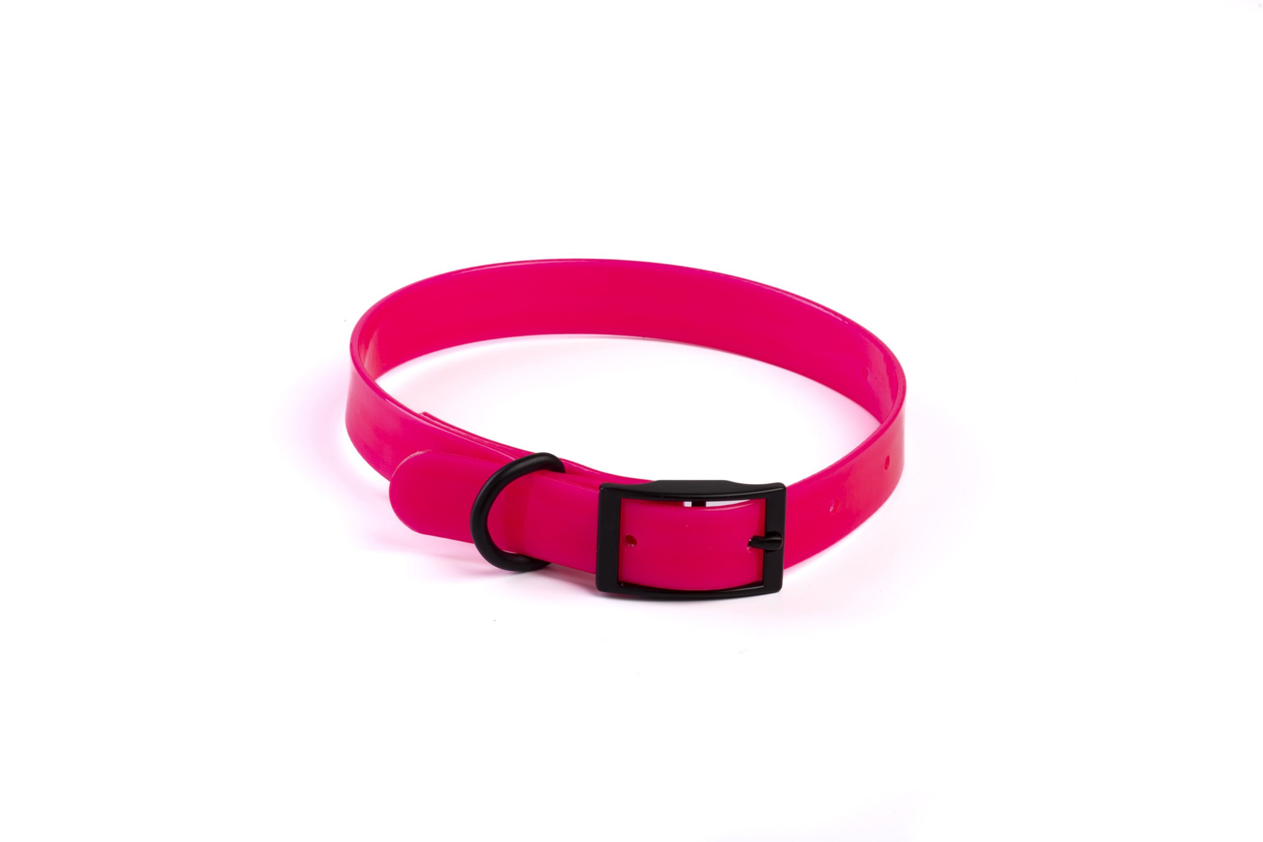 perilaimio-skylou-leopet-CGM10041