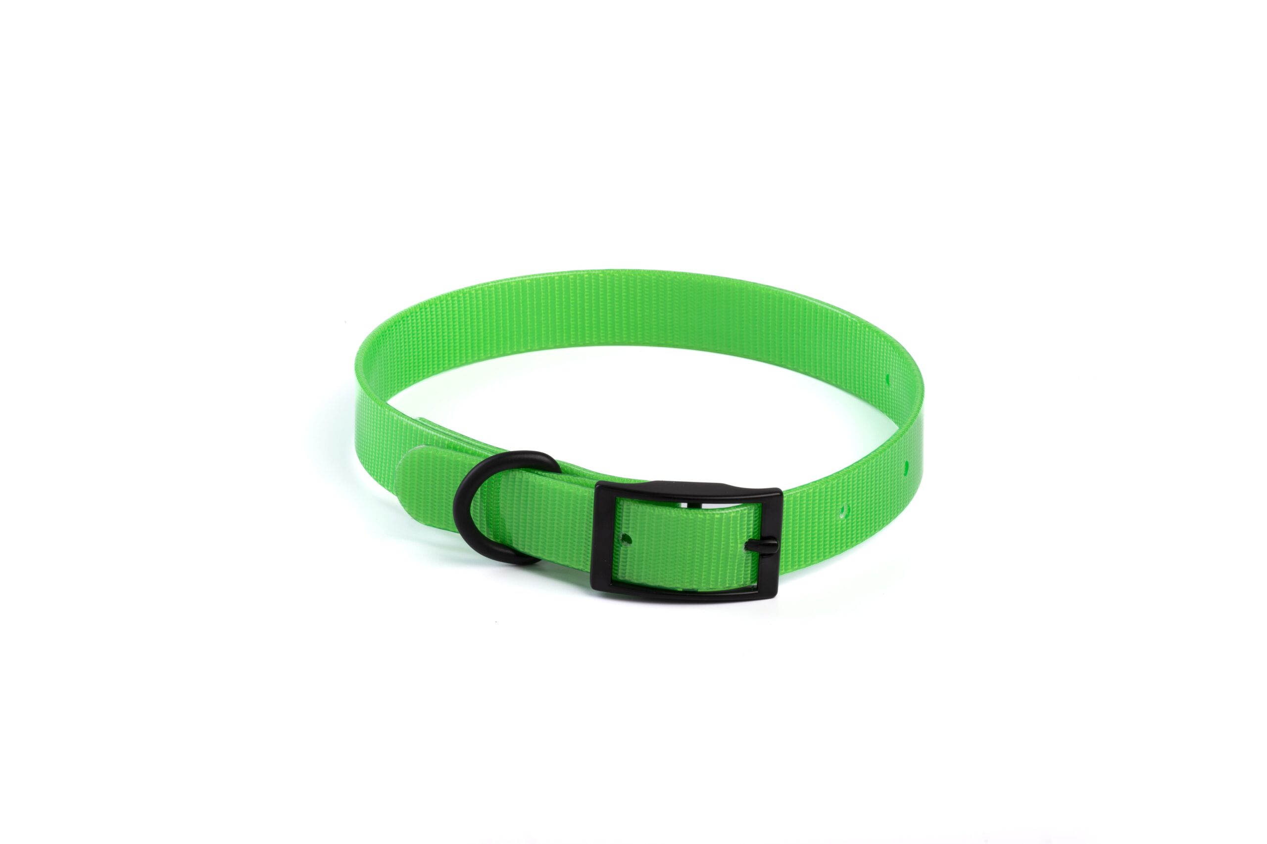 perilaimio-skylou-leopet-CGM10061