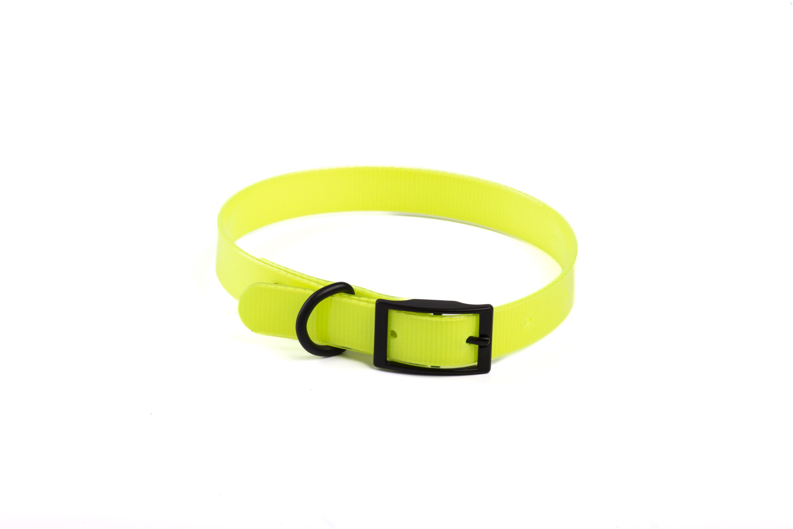 perilaimio-skylou-leopet-CGM10071