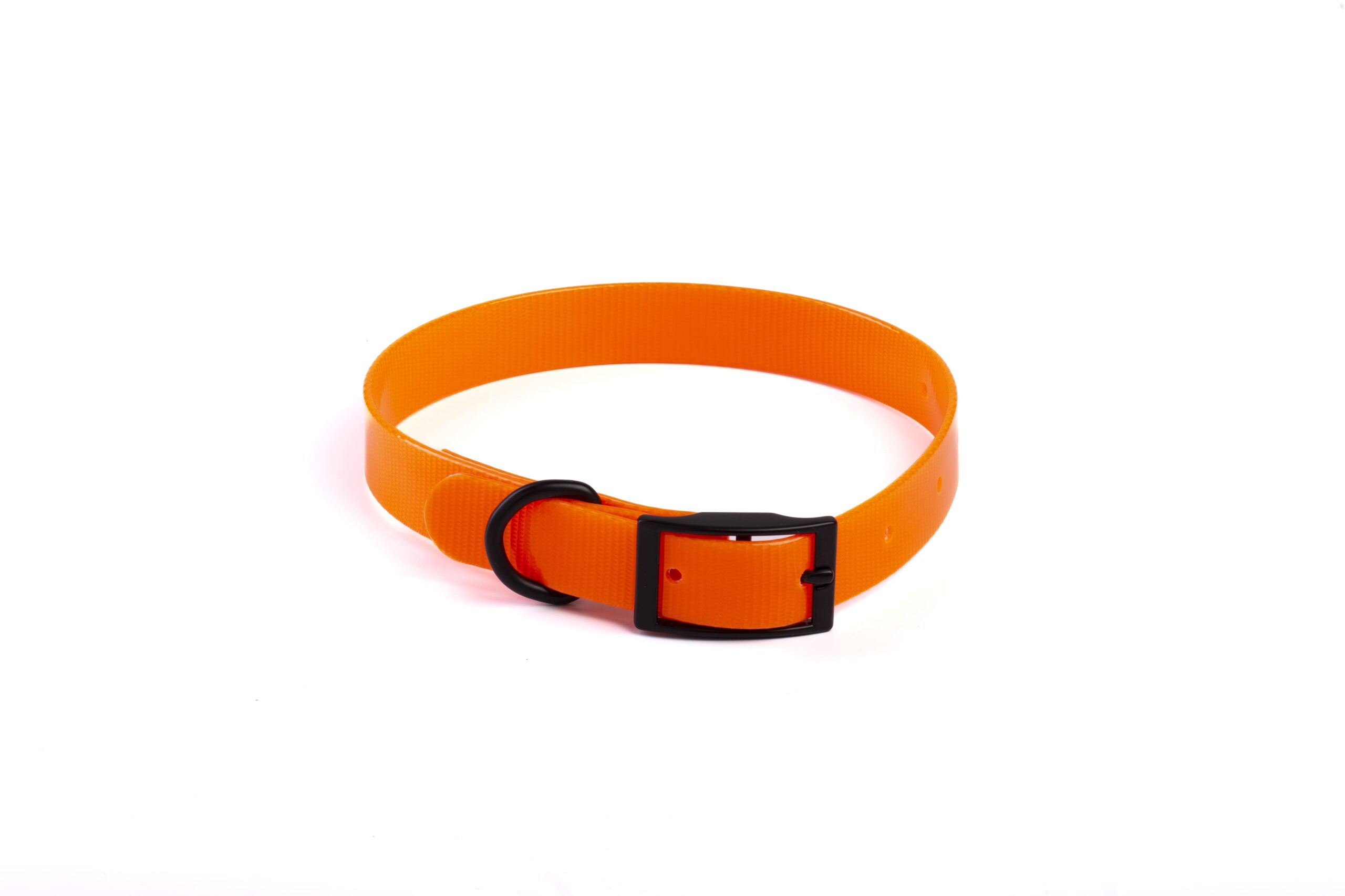 perilaimio-skylou-leopet-CGM10081